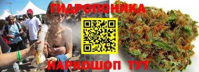 дживик Сланцы