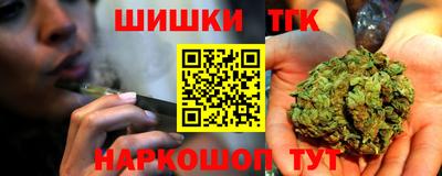 тгк Славгород